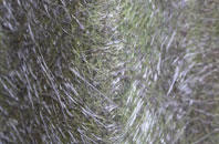 Kennett fibreglass roof work